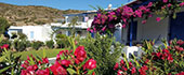 Sifnos rooms - Studios Nikos